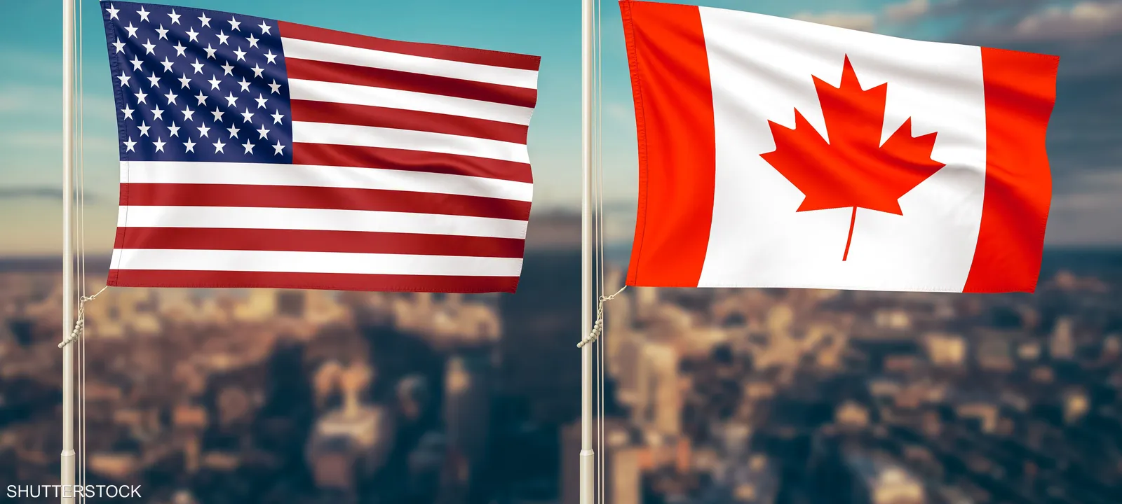 ������ ���� ���� ���� 100% ��� ������ ���� ��� ����� ������� ������� �� �����